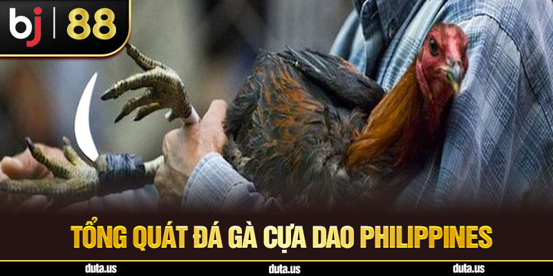 Đá Gà Cựa Dao Philippines – Môn Giải Trí Kịch Tính Trên BJ88 Tổng Quát Đá Gà Cựa Dao Philippines