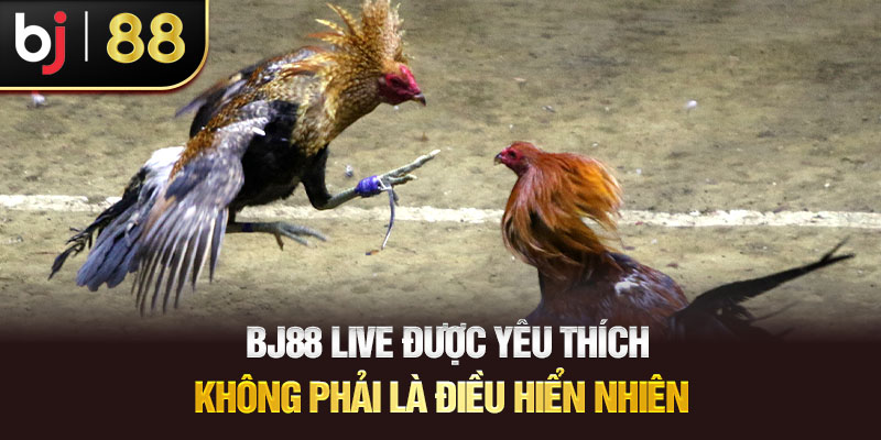 BJ88 Live – Nơi Trực Tiếp Những Trận Đấu Nảy Lửa BJ88 Live Được Yêu Thích Không Phải Là Điều Hiển Nhiên