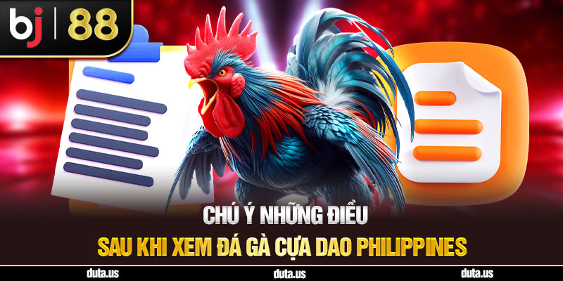 Đá Gà Cựa Dao Philippines – Môn Giải Trí Kịch Tính Trên BJ88 Chú Ý Những Điều Sau Khi Xem Đá Gà Cựa Dao Philippines