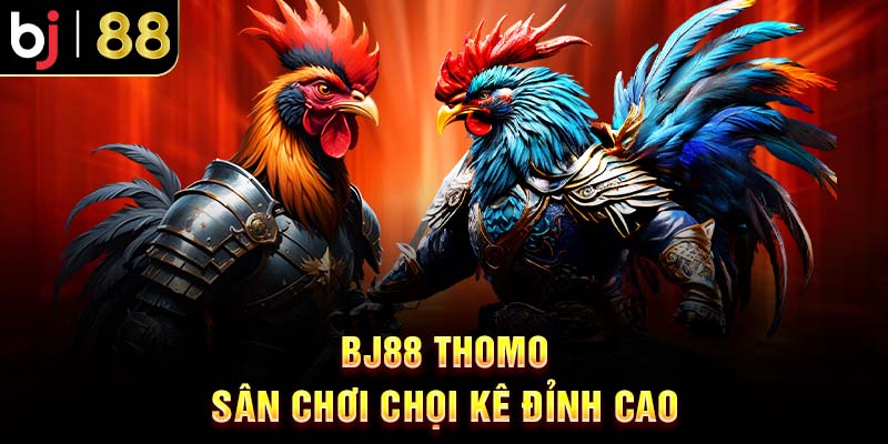 BJ88 Thomo – Trang Chuyên Đá Gà Uy Tín Năm 2025 BJ88 Thomo – Sân Chơi Chọi Kê Đỉnh Cao