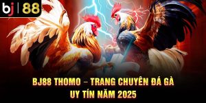 BJ88 Thomo – Trang Chuyên Đá Gà Uy Tín Năm 2025