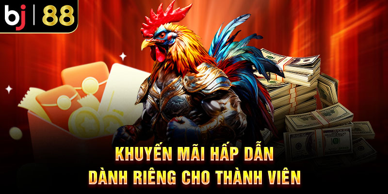 BJ88 Thomo – Trang Chuyên Đá Gà Uy Tín Năm 2025 Khuyến Mãi Hấp Dẫn Dành Riêng Cho Thành Viên