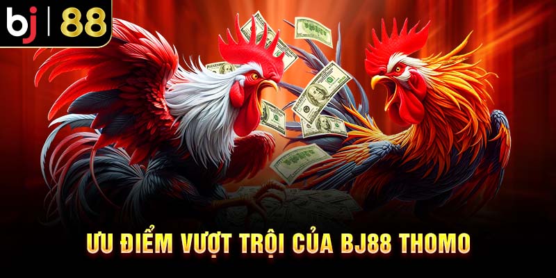BJ88 Thomo – Trang Chuyên Đá Gà Uy Tín Năm 2025 Ưu Điểm Vượt Trội Của BJ88 Thomo